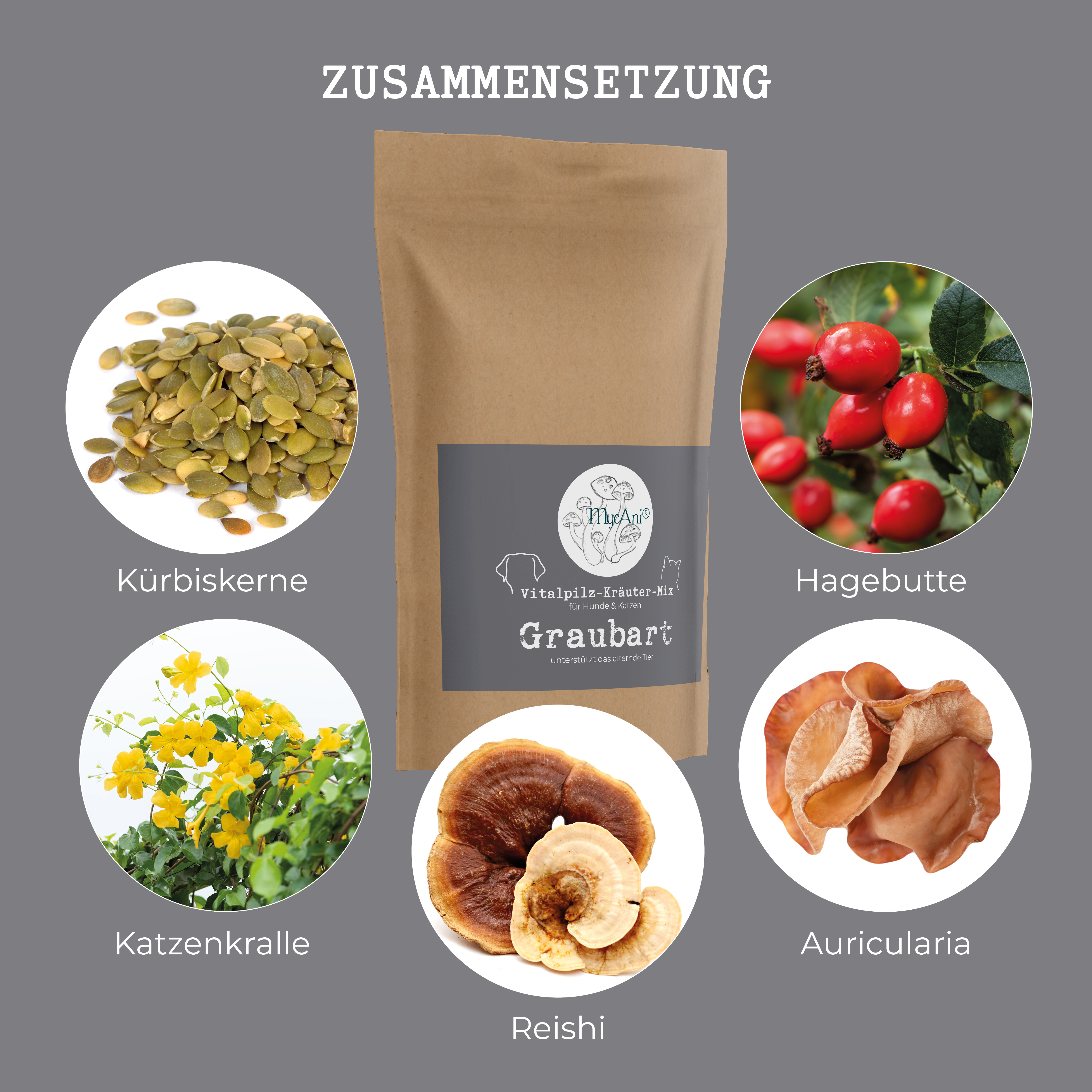 Vitalpilzmischung "Graubart"