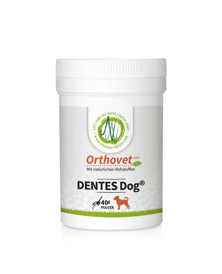 DENTES Dog Orthovet