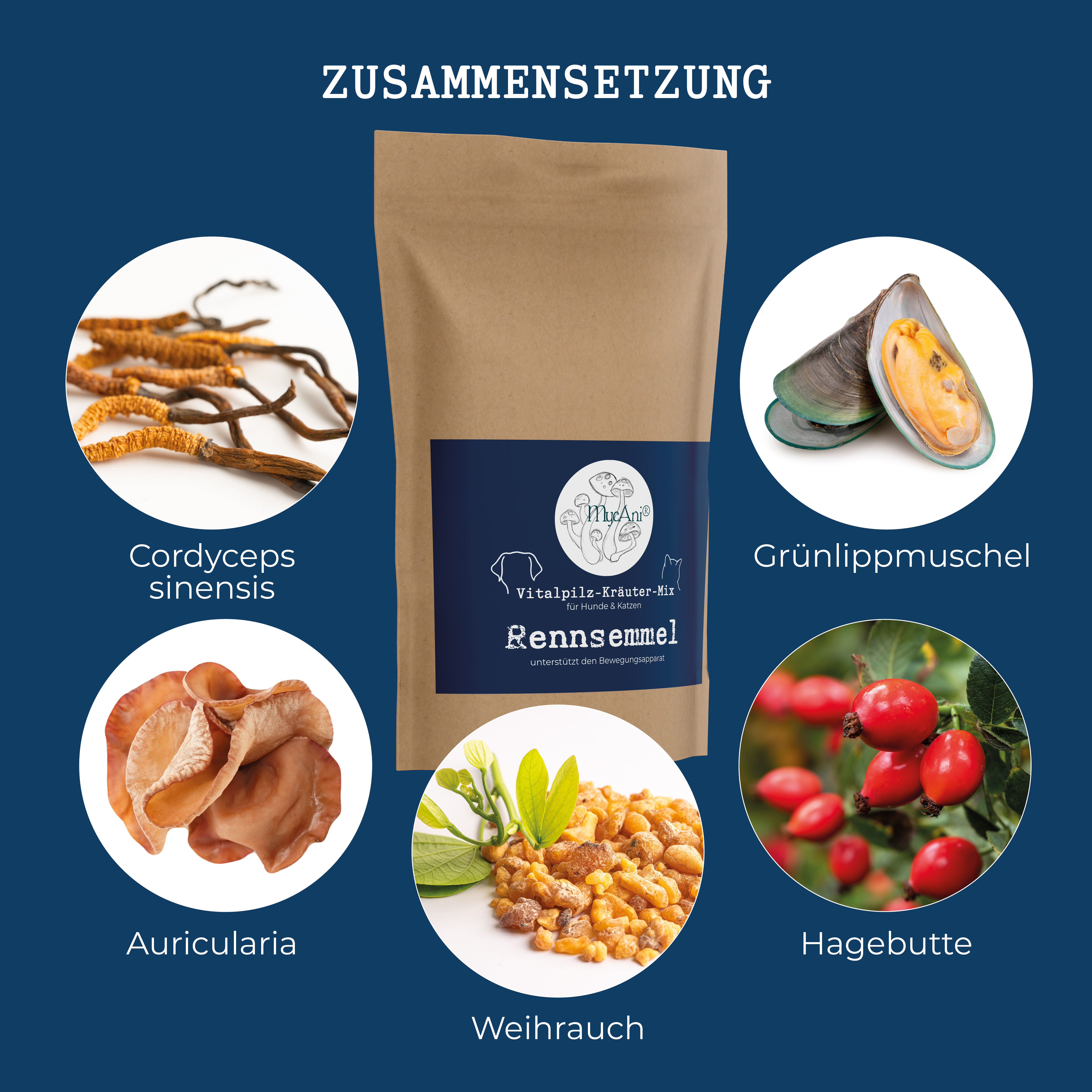 Vitalpilzmischung "Rennsemmel" 